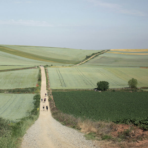 Top 10 Items for the Camino