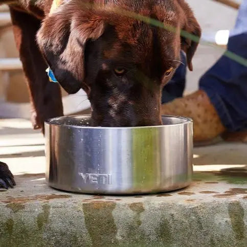 YETI Boomer™ 4 Dog Bowl - Black- Great Outdoors Ireland