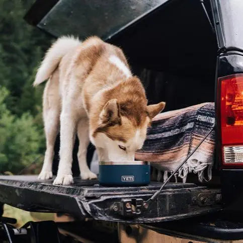 YETI Boomer™ 4 Dog Bowl - Black- Great Outdoors Ireland